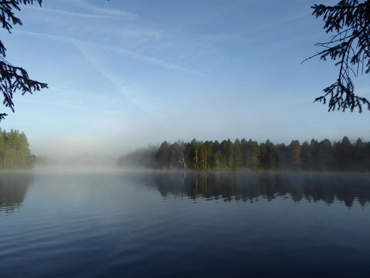 Vent_du_nord